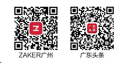 广州头条最新爆料,揭秘某神秘项目背后真相! 第3张 广州头条最新爆料,揭秘某神秘项目背后真相! 第3张